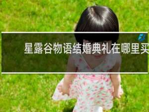星露谷物语结婚典礼在哪里买