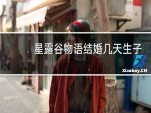 星露谷物语结婚几天生子