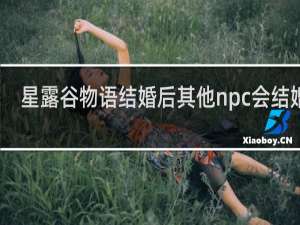 星露谷物语结婚后其他npc会结婚么