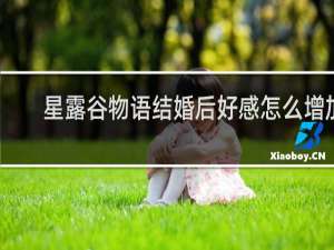 星露谷物语结婚后好感怎么增加