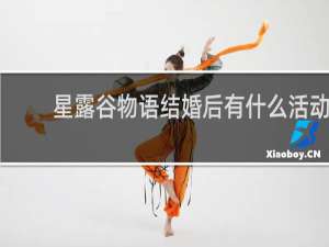 星露谷物语结婚后有什么活动