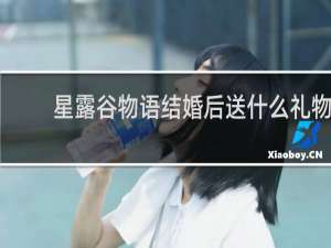 星露谷物语结婚后送什么礼物