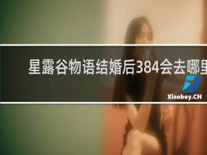 星露谷物语结婚后384会去哪里