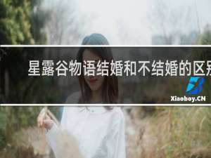 星露谷物语结婚和不结婚的区别