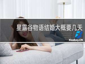 星露谷物语结婚大概要几天