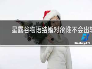 星露谷物语结婚对象谁不会出轨