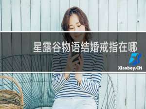 星露谷物语结婚戒指在哪