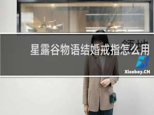 星露谷物语结婚戒指怎么用