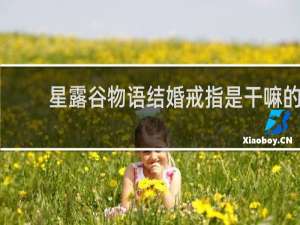 星露谷物语结婚戒指是干嘛的