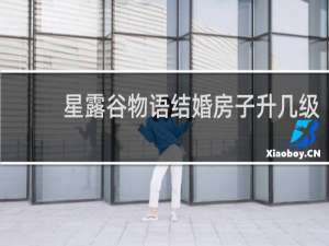 星露谷物语结婚房子升几级