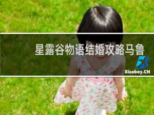 星露谷物语结婚攻略马鲁
