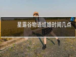 星露谷物语结婚时间几点