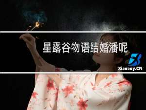 星露谷物语结婚潘呢