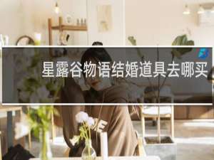 星露谷物语结婚道具去哪买