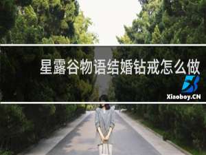 星露谷物语结婚钻戒怎么做