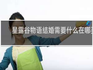 星露谷物语结婚需要什么在哪买