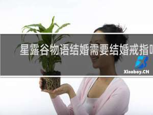 星露谷物语结婚需要结婚戒指吗