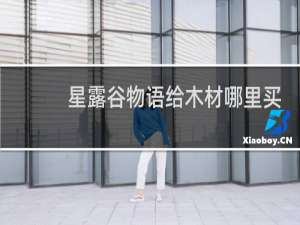 星露谷物语给木材哪里买