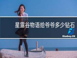 星露谷物语给爷爷多少钻石