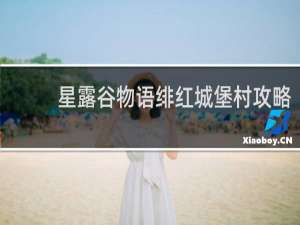 星露谷物语绯红城堡村攻略