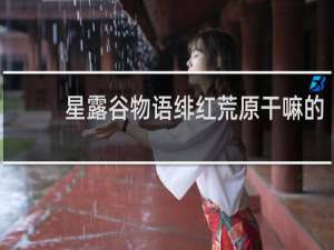 星露谷物语绯红荒原干嘛的
