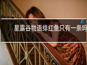 星露谷物语绯红鱼只有一条吗