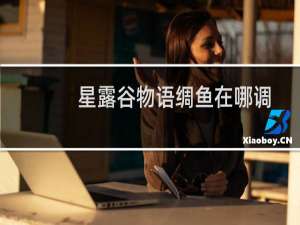 星露谷物语绸鱼在哪调