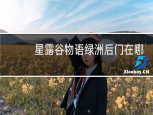 星露谷物语绿洲后门在哪