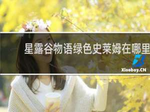 星露谷物语绿色史莱姆在哪里