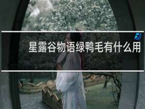 星露谷物语绿鸭毛有什么用