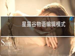 星露谷物语编辑模式
