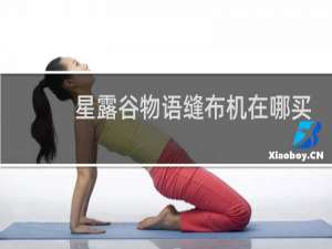 星露谷物语缝布机在哪买