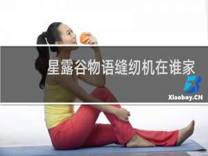 星露谷物语缝纫机在谁家