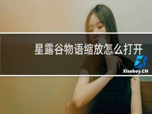 星露谷物语缩放怎么打开