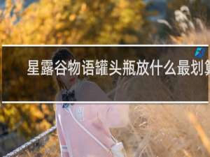 星露谷物语罐头瓶放什么最划算