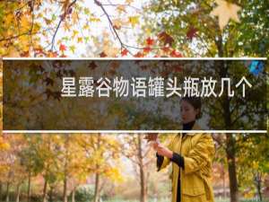 星露谷物语罐头瓶放几个