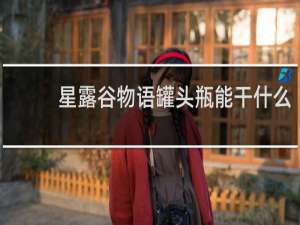 星露谷物语罐头瓶能干什么