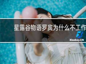 星露谷物语罗宾为什么不工作