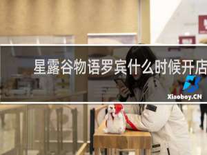 星露谷物语罗宾什么时候开店