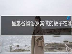 星露谷物语罗宾做的板子在哪