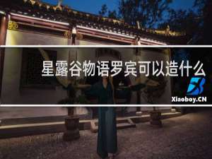 星露谷物语罗宾可以造什么