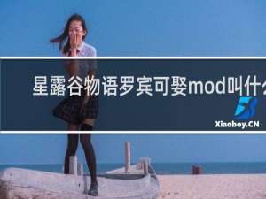 星露谷物语罗宾可娶mod叫什么