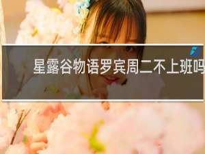 星露谷物语罗宾周二不上班吗