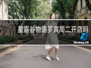 星露谷物语罗宾周二开店吗