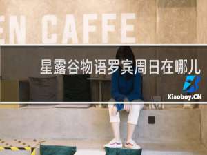 星露谷物语罗宾周日在哪儿