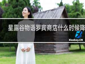 星露谷物语罗宾商店什么时候降价