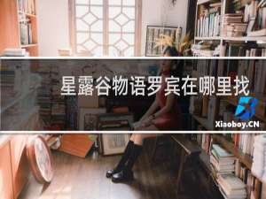 星露谷物语罗宾在哪里找