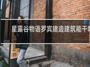 星露谷物语罗宾建造建筑能干啥