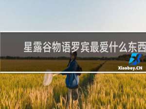 星露谷物语罗宾最爱什么东西