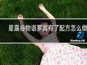 星露谷物语罗宾有了配方怎么做饭